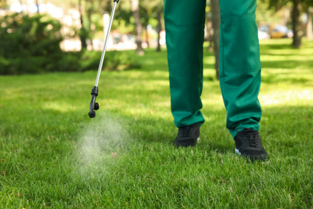Professional Pest Control in Palm Beach Shores, FL